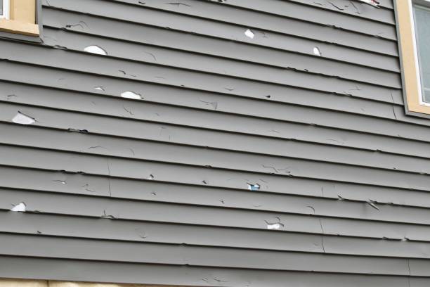 How To Choose The Right Materials for Your Siding Installation in 'The Colony, TX